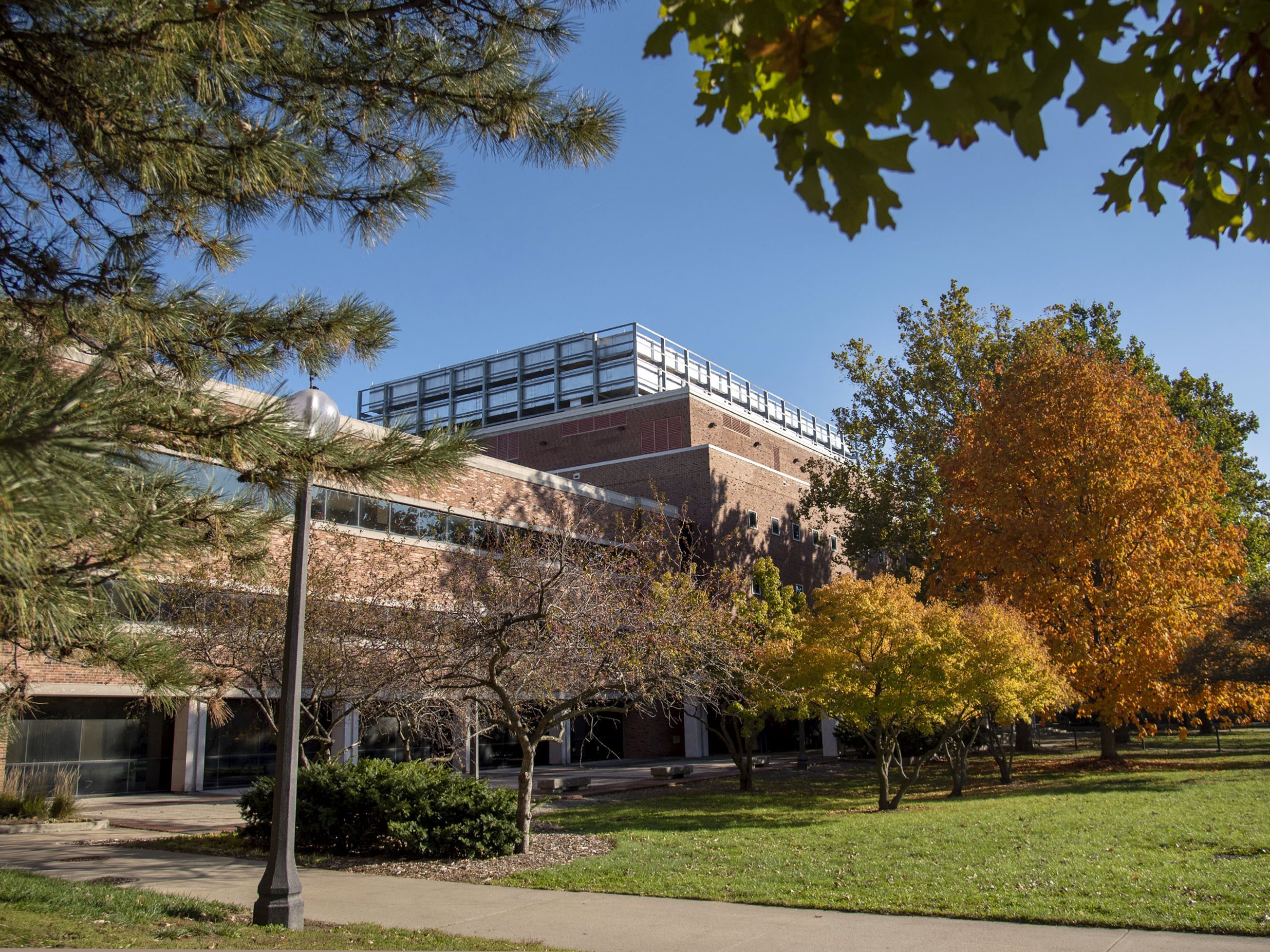 Semiconductor chip image