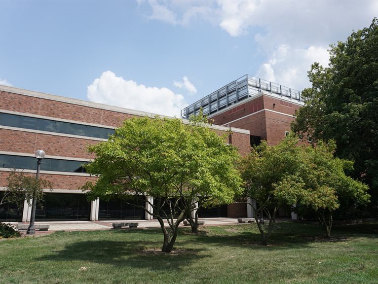 Hands holding histology slides in a lab