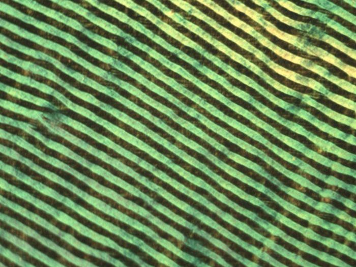 Printed polymer still from video content.