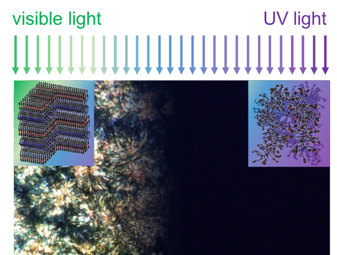 Under ambient conditions or visible light (left side), the polymer is crystalline and has a high thermal conductivity. Once exposed to ultraviolet (UV) light (right side) it transforms to a low thermal conductivity liquid. Imaging performed using polarized optical microscopy; crystals appear bright, and liquid dark. Inset images show schematic illustration of crystalline and liquid polymer in each state.