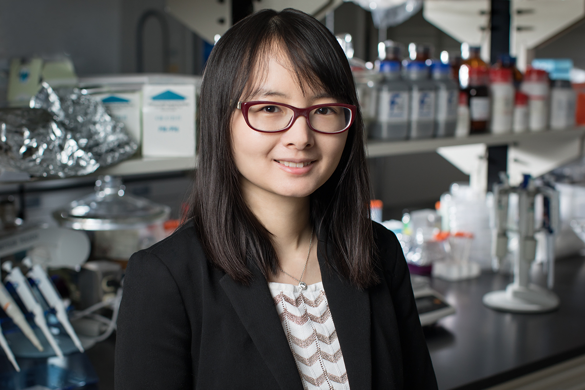 Professional photo of Professor Qian Chen