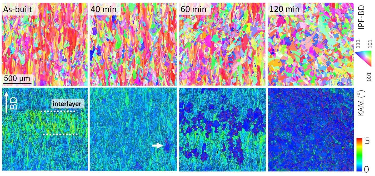 The randomization of the crystals' orientations during a sequential heat treatment.