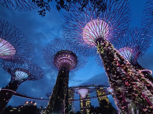 U of I students enjoyed a light show in Singapore before attending the Global Young Scientists Summit earlier in January. Photo by Erick Hernandez.