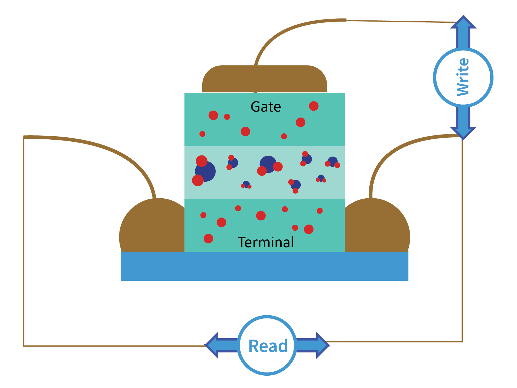 A diagram of an ECRAM.