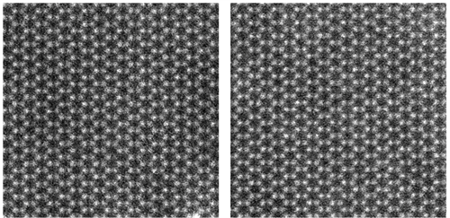 <em>Two microscope images of a material surface. The left image was generated by the researchers&rsquo; new AI, and the right image was taken by a microscope. Huang noted that the AI is &ldquo;so good it fools me and my colleagues.</em>