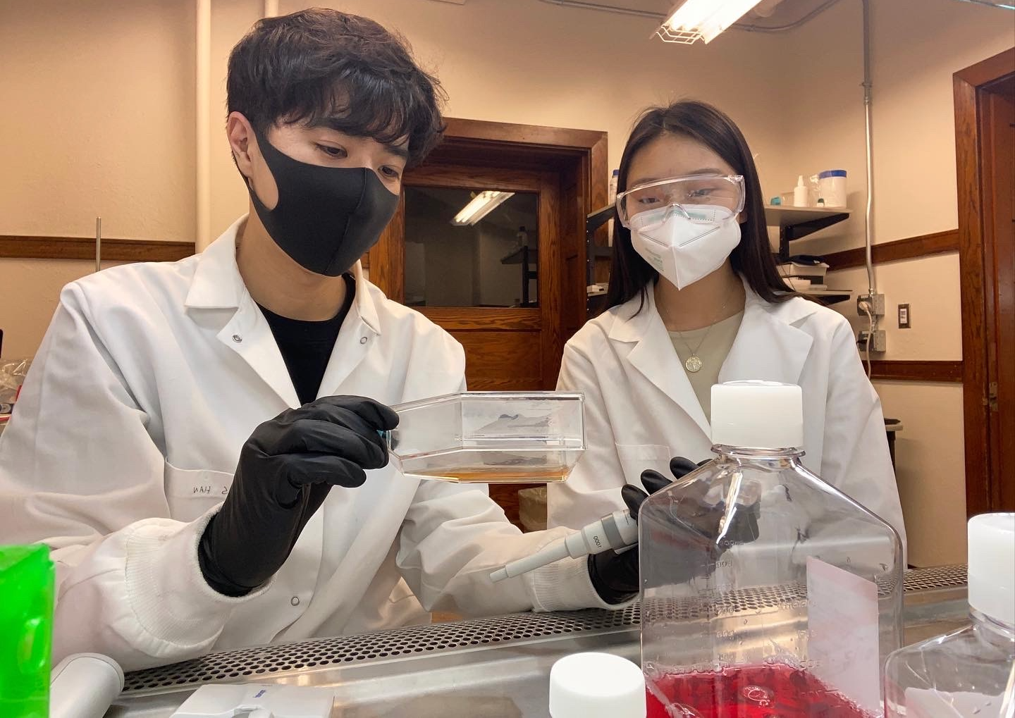 MatSE grad student Joonsu Han, left, trains Emily Chen, a 2023 University of Illinois Laboratory High School graduate, on cell culture procedures in assistant professor Hua Wang's lab inside the Materials Science and Engineering Building earlier in May.
