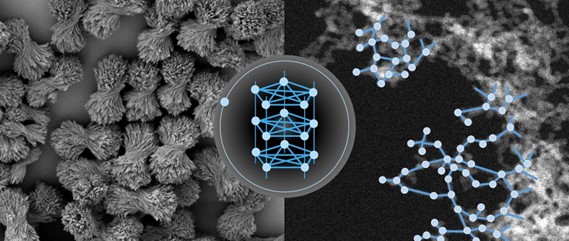 The bowtie particles look like twisted sheaves of straw, shown in the grayscale of an electron microscope image. The gel looks like a grainy maze of bright dots forming a porous structure of filaments. The pale nodes and blue connecting lines follow the structures in the gel. For the bowties, it resembles a stack of pentagons with stars traced through the middle, as each node is connected to all others in its plane.